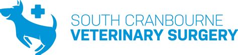 cranbourne veterinary clinic|South Cranbourne Vet Surgery: Quality Pet Care.